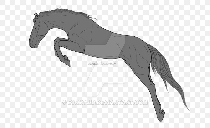 Pony Mane Stallion Foal Mustang, PNG, 800x500px, Pony, Black, Black And White, Carnivoran, Colt Download Free