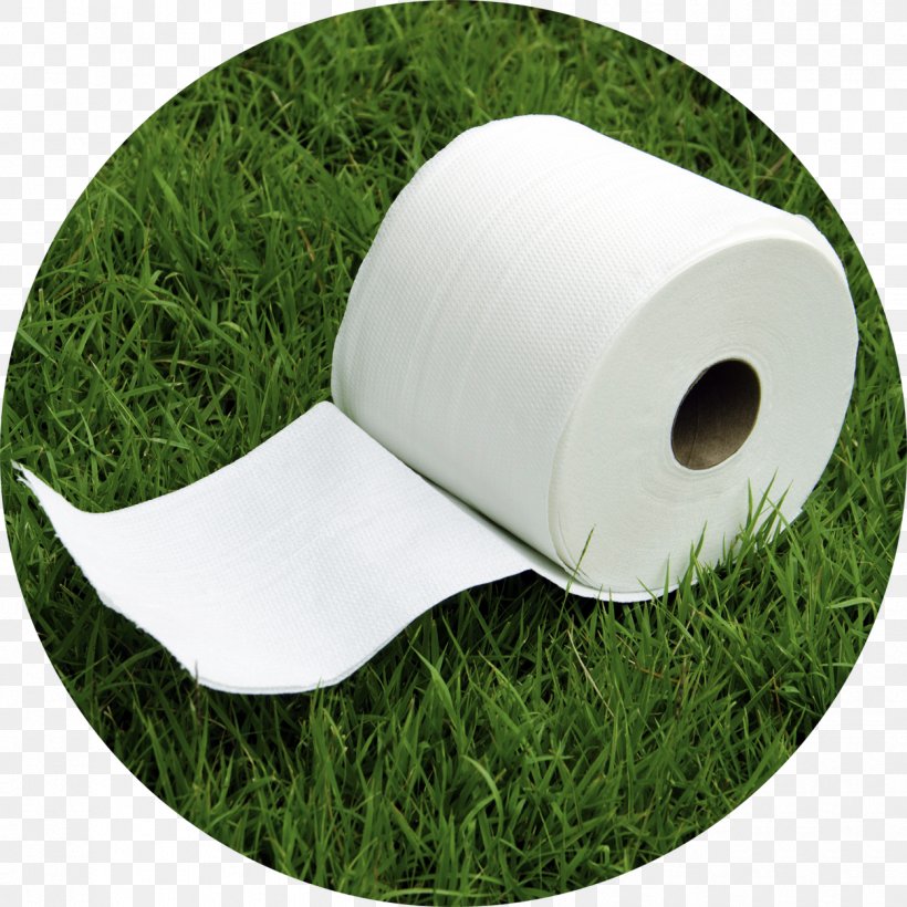 Tissue Paper Norway Golf Toilet, PNG, 1250x1250px, Paper, Bathroom, Defecation, Feces, Golf Download Free