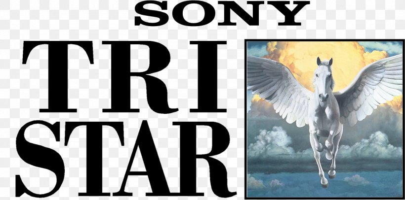 TriStar Pictures Logo Columbia Pictures, PNG, 1283x636px, Tristar Pictures, Advertising, Banner, Beak, Bird Download Free