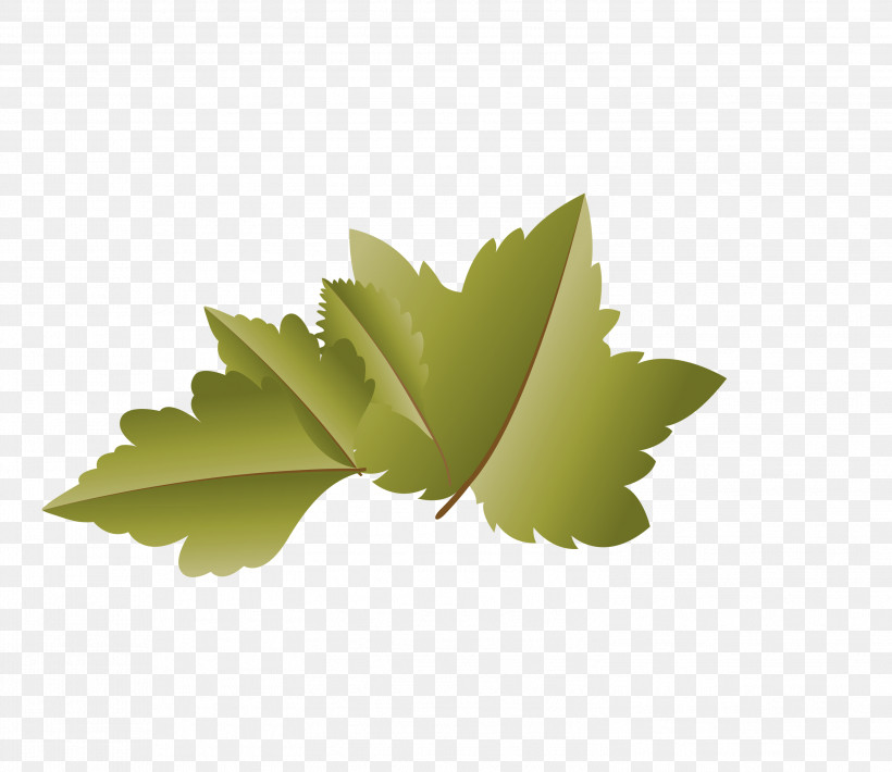 Leaf Computer M-tree Meter M, PNG, 2999x2600px, Autumn Leaf, Biology, Cartoon Leaf, Computer, Fall Leaf Download Free