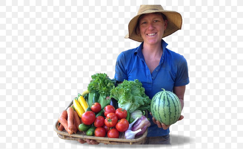 Leaf Vegetable Vegetarian Cuisine Whole Food Diet Food, PNG, 500x501px, Leaf Vegetable, Cook, Diet, Diet Food, Eating Download Free