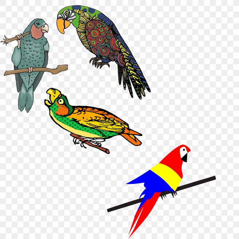 Budgerigar Lovebird Parrot, PNG, 1822x1822px, Budgerigar, Beak, Bird, Bird Flight, Common Pet Parakeet Download Free