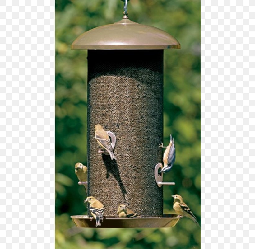 Finch Bird Feeders Hummingbird Squirrel, PNG, 800x800px, Finch, American Goldfinch, Bird, Bird Baths, Bird Feeder Download Free