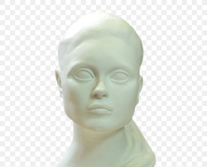 Forehead Classical Sculpture Mannequin Jaw Chin, PNG, 510x662px, Forehead, Chin, Classical Sculpture, Face, Figurine Download Free