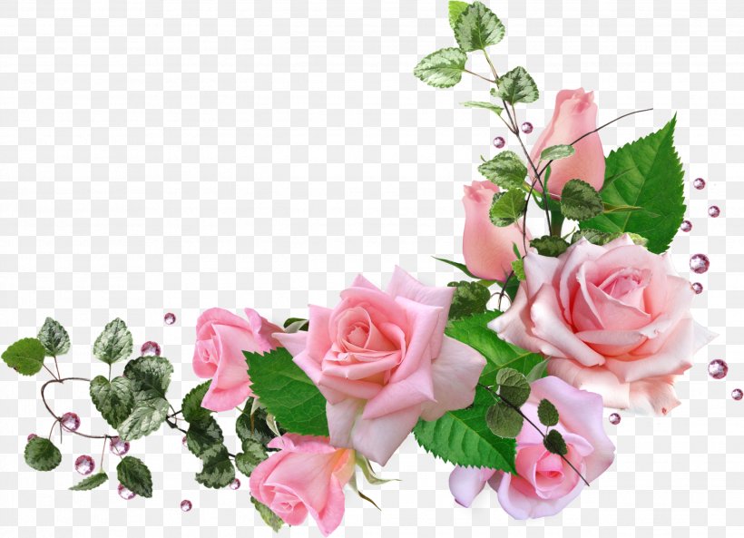 Garden Roses Centifolia Roses Flower Bouquet Floral Design, PNG, 2638x1909px, Garden Roses, Artificial Flower, Centifolia Roses, Christie Repasy, Cut Flowers Download Free