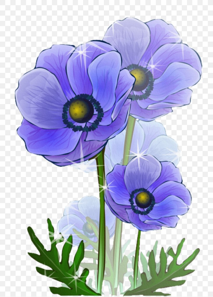 Paper Drawing Papel De Carta Flower, PNG, 800x1141px, Paper, Anemone, Annual Plant, Cut Flowers, Drawing Download Free