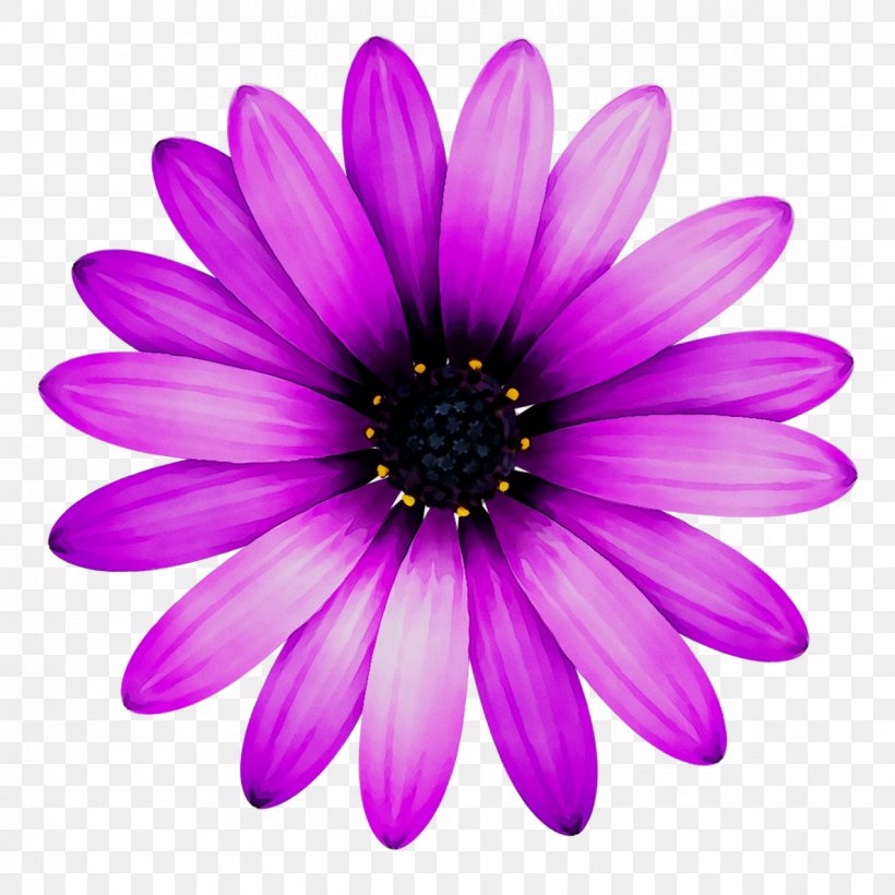 Pinwheel Wind Spinner Sunflower Design, PNG, 1187x1187px, Pinwheel, African Daisy, Annual Plant, Aster, Barberton Daisy Download Free