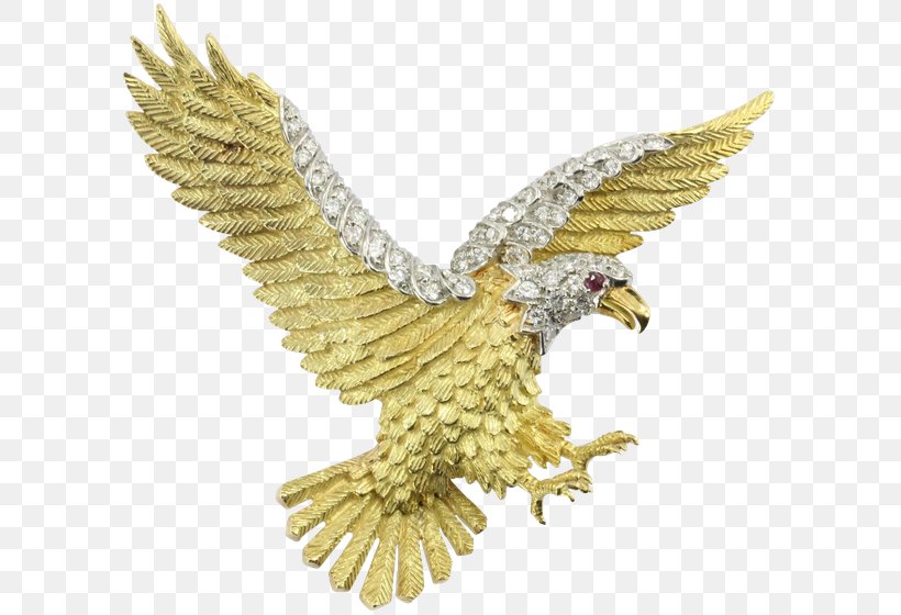 Bald Eagle Jewellery Gold Brooch, PNG, 600x560px, Eagle, Accipitriformes, Bald Eagle, Beak, Bird Download Free