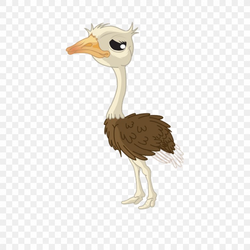 Common Ostrich Cartoon Drawing, PNG, 1200x1200px, Common Ostrich, Animation, Beak, Bird, Cartoon Download Free