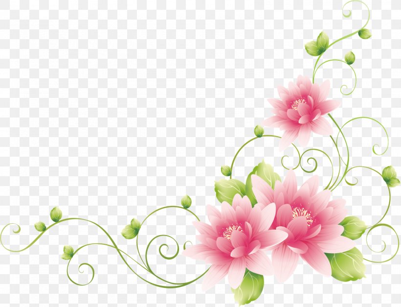 illustrations flowers clipart