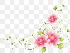 Flower Drawing, PNG, 491x905px, Flower, Artwork, Color, Cut Flowers ...