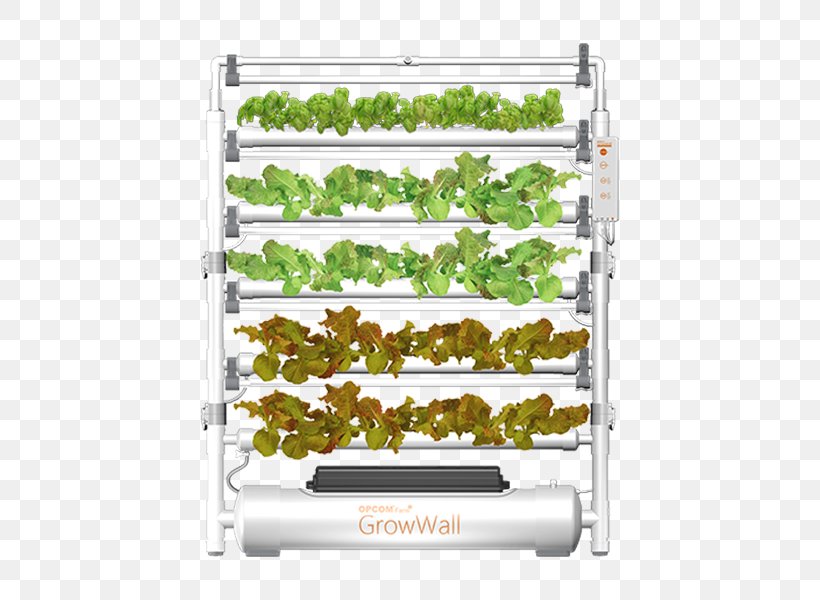 Hydroponics The International Consumer Electronics Show Farm Product Grow Box, PNG, 600x600px, Hydroponics, Farm, Greenhouse, Grow Box, Italy Download Free