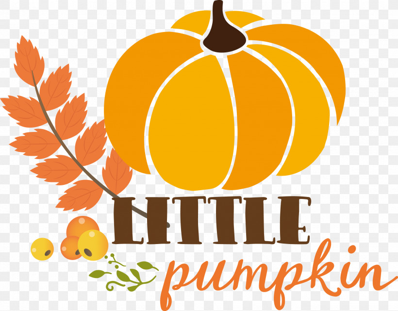 Little Pumpkin Thanksgiving Autumn, PNG, 2655x2076px, Little Pumpkin, Autumn, Commodity, Flower, Fruit Download Free