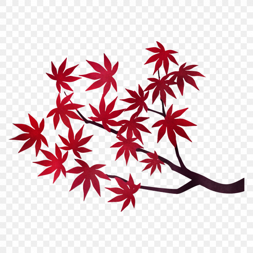 Maple Branch Maple Leaves Autumn Tree, PNG, 1200x1200px, Maple Branch, Autumn, Autumn Tree, Fall, Flower Download Free