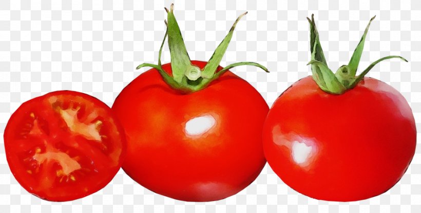 Tomato Cartoon, PNG, 946x480px, Watercolor, Bush Tomato, Cherry Tomatoes, Diet, Diet Food Download Free