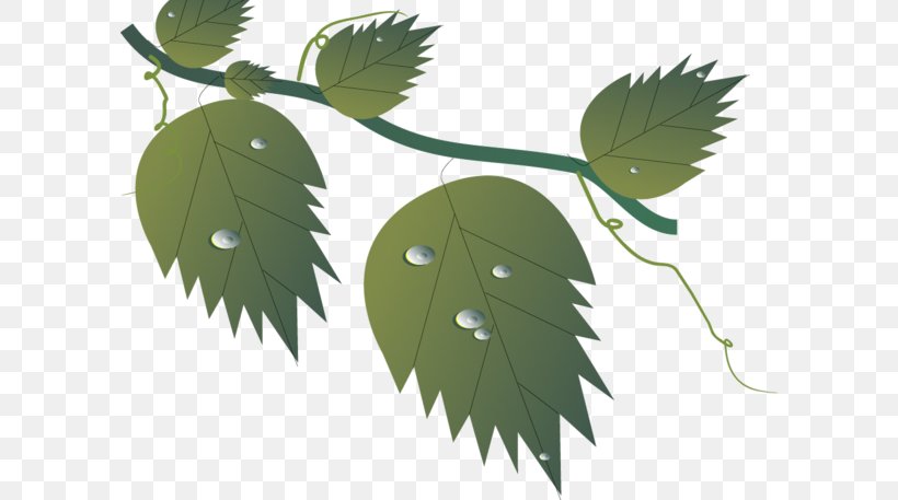 Twig Leaf Déjà Vu, PNG, 600x457px, Twig, Autumn, Branch, Deja Vu, Email Download Free