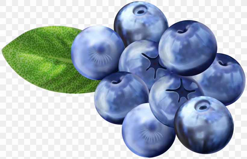 Blueberry Grape Bilberry Huckleberry Clip Art, PNG, 5000x3218px, Blueberry, Berry, Bilberry, Blue, Damson Download Free