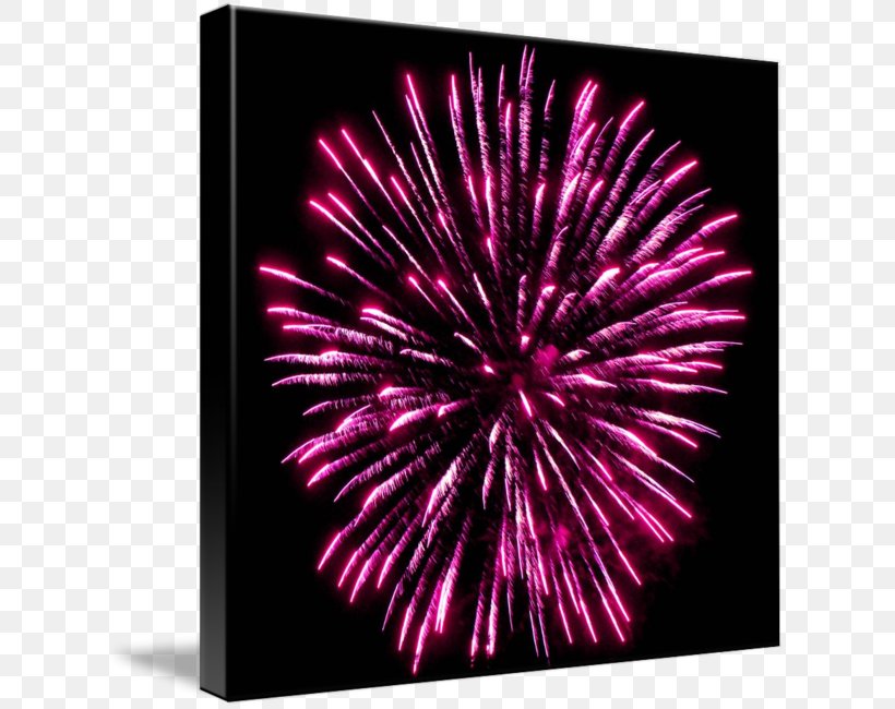 Fireworks Party, PNG, 624x650px, Fireworks, Event, Magenta, Party, Pink Download Free