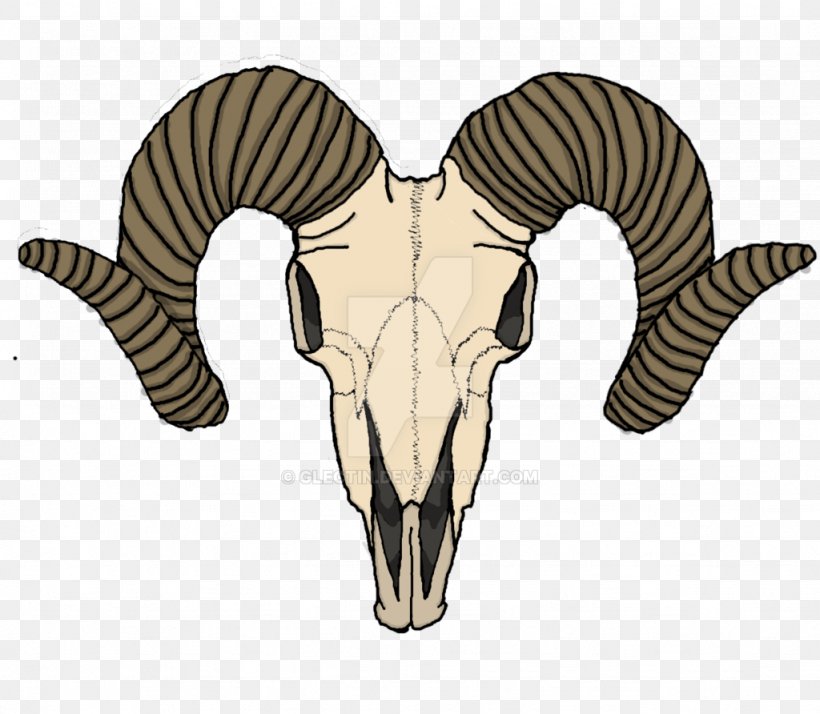 Goat Sheep Human Skull Symbolism, PNG, 1024x892px, Goat, Bone, Cattle Like Mammal, Drawing, Head Download Free