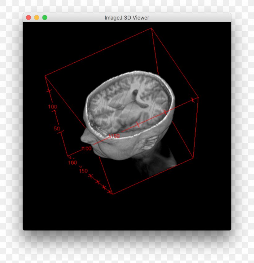 ImageJ Macro Fiji GitHub Computer Programming, PNG, 1248x1292px, Watercolor, Cartoon, Flower, Frame, Heart Download Free