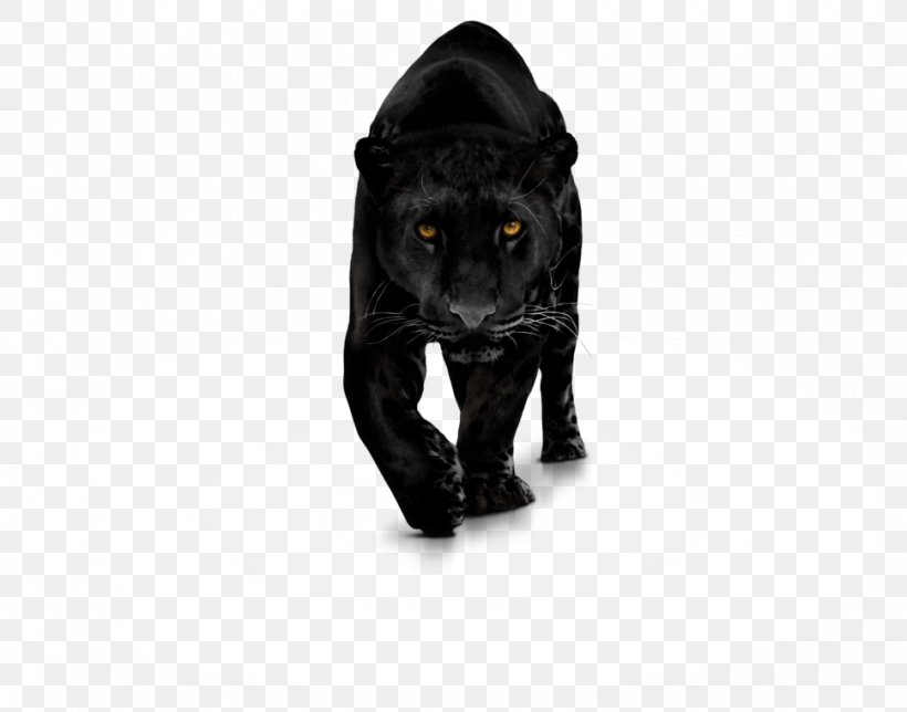 Black Panther Bagheera Leopard Cat Jaguar, PNG, 970x762px, Black Panther, Bagheera, Baloo, Big Cats, Black Download Free