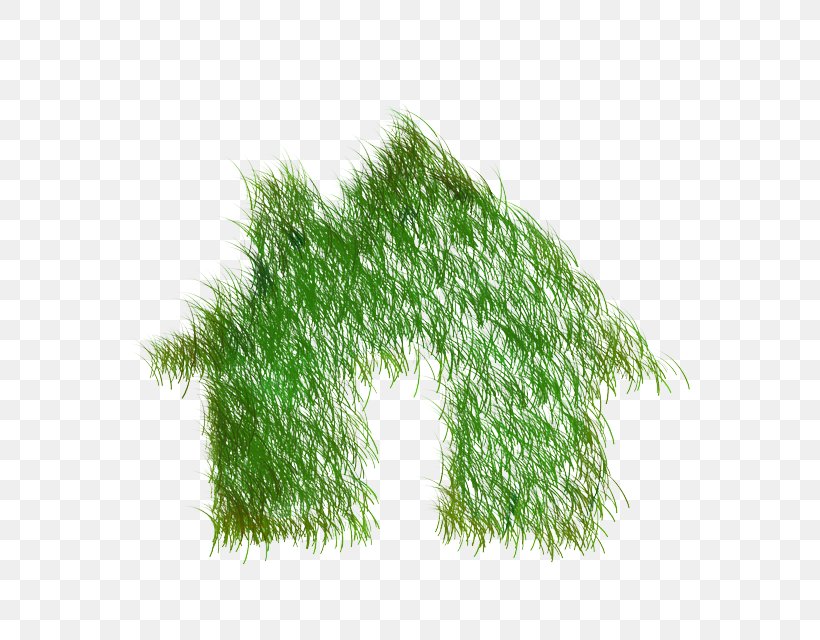 Building World Energy Consumption Statute Grasses, PNG, 640x640px, Building, Apartment, Consumption, Customer, Energy Download Free