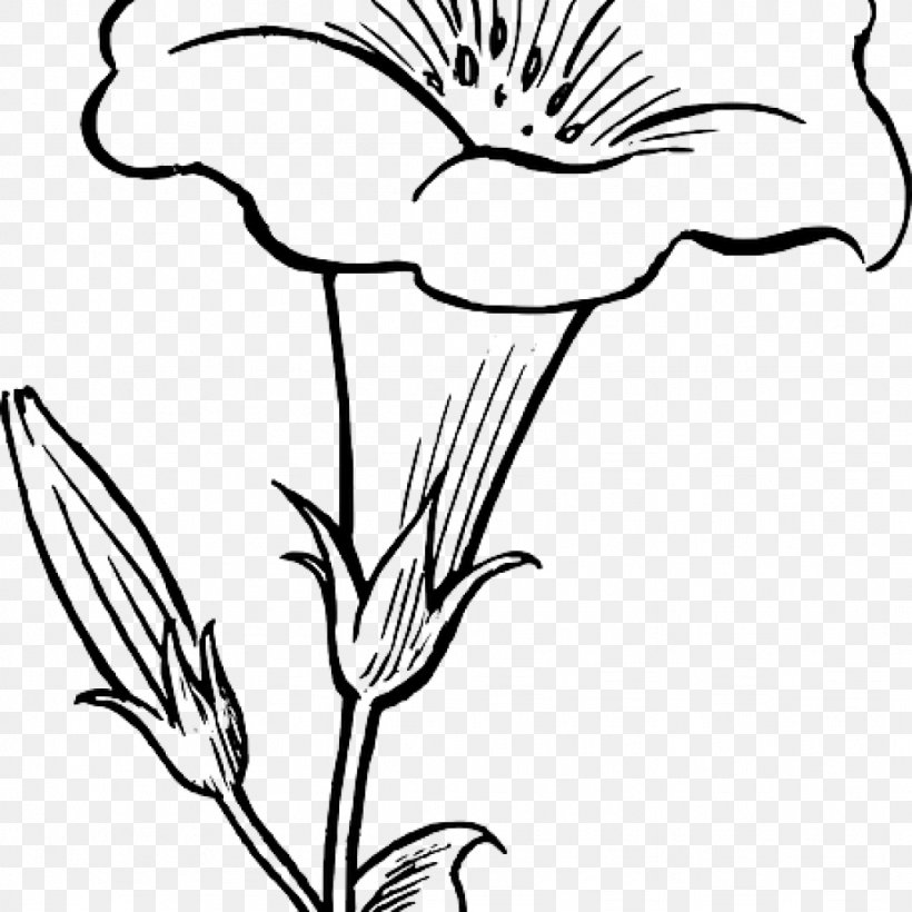 Clip Art Borders And Frames Drawing Flower Illustration, PNG, 1024x1024px, Borders And Frames, Artwork, Beak, Black, Black And White Download Free