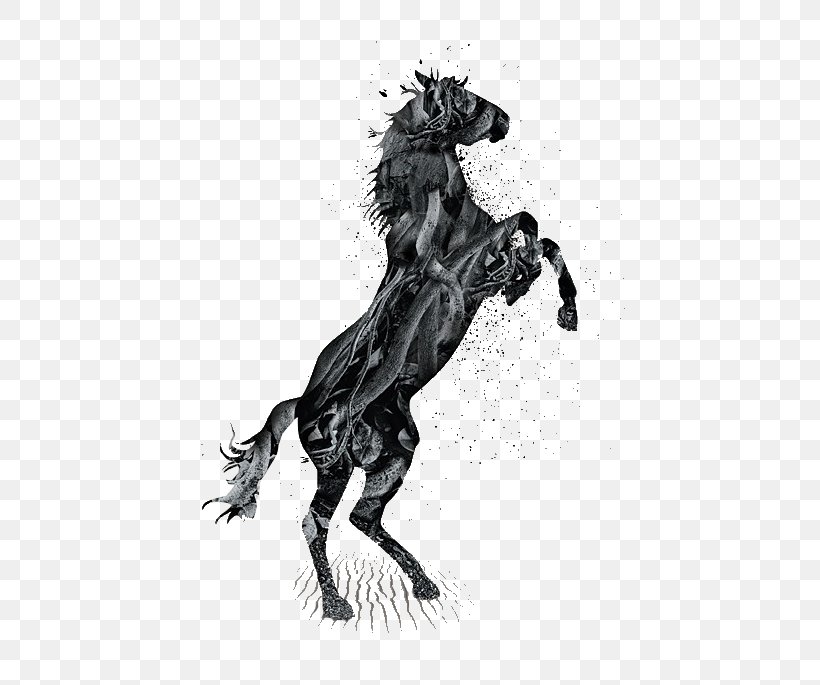 Horse Stallion Mane Drawing Wildlife, PNG, 551x685px, Horse, Drawing, Jumping, Mane, Stallion Download Free