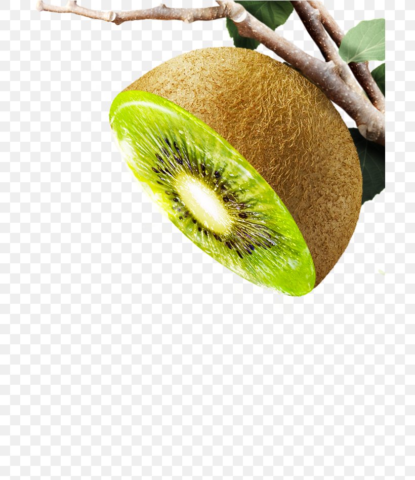 Kiwifruit Close-up, PNG, 703x948px, Kiwifruit, Closeup, Food, Fruit, Kiwi Download Free