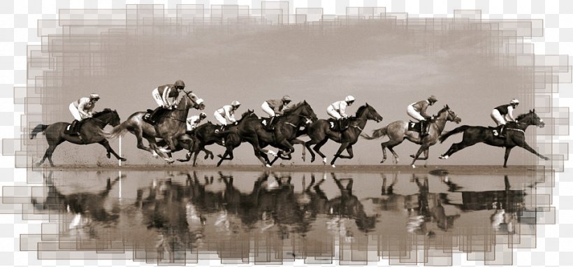Lalehzar, Kerman Kūh-e Lālehzār Mustang Equestrian Horse Harnesses, PNG, 960x448px, Lalehzar Kerman, Baft County, Chariot, Equestrian, Equestrian Sport Download Free