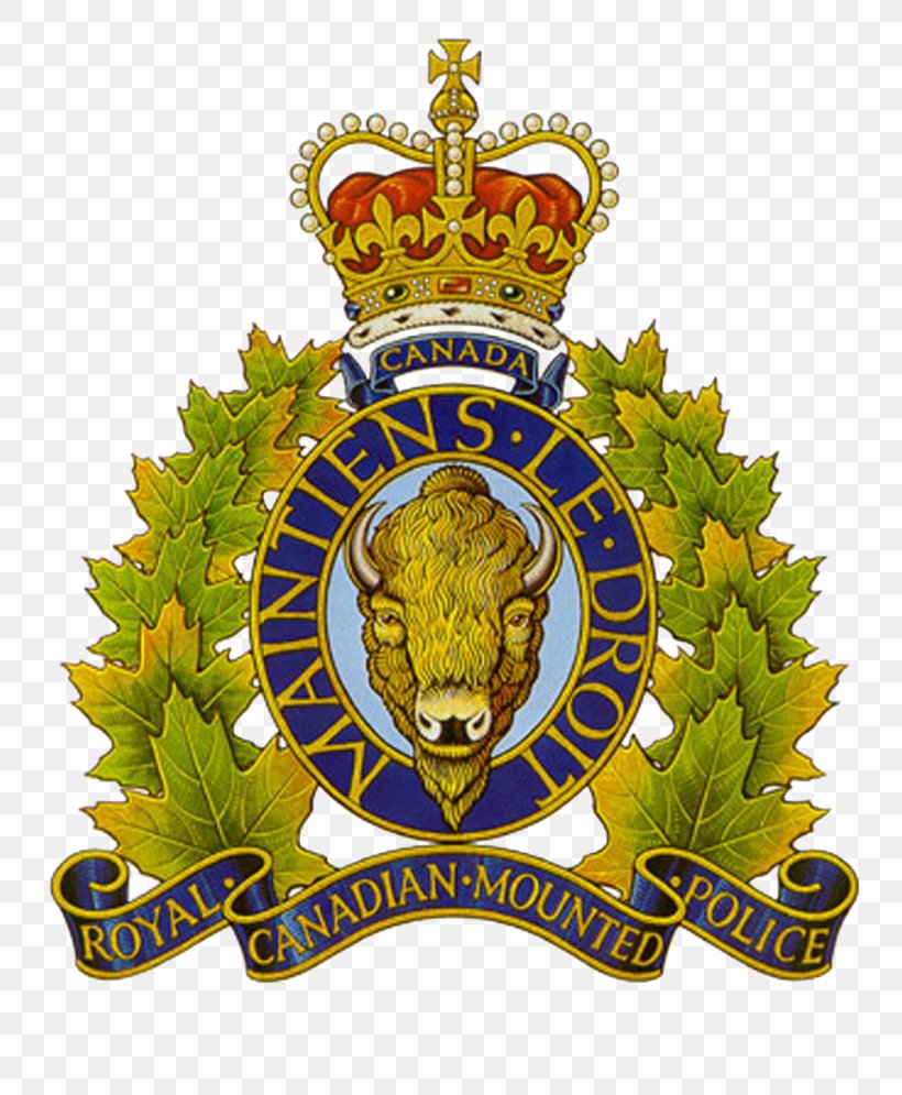 Royal Canadian Mounted Police (RCMP) Board Of Police Commissioners Meeting Law Enforcement, PNG, 768x995px, Royal Canadian Mounted Police, Army Officer, Badge, Canada, Crest Download Free