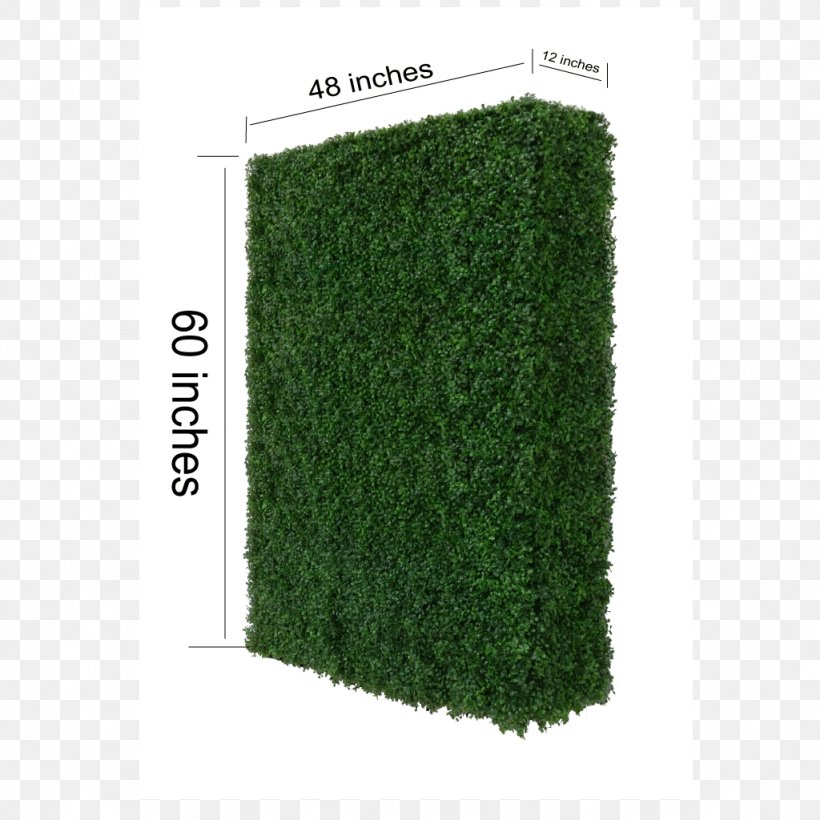 Shrub, PNG, 1024x1024px, Shrub, Grass, Plant Download Free
