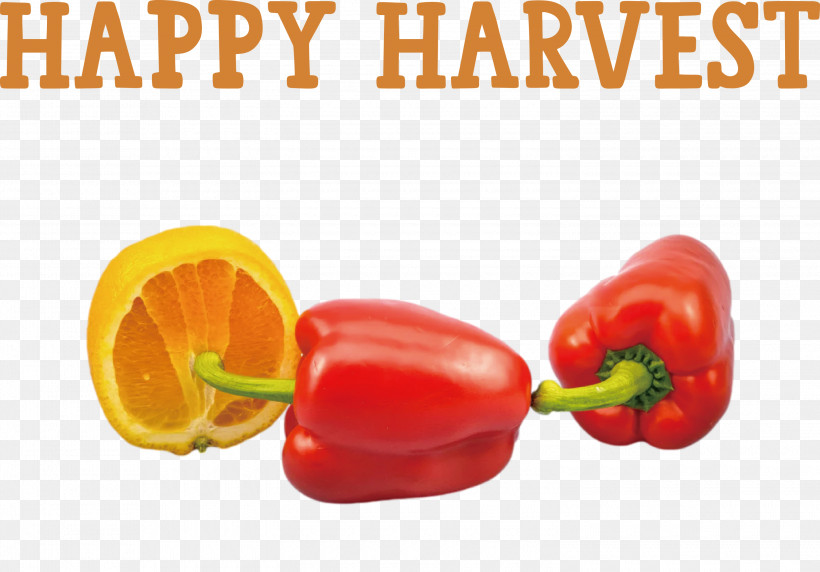 Happy Harvest Harvest Time, PNG, 3000x2096px, Happy Harvest, Bell Pepper, Chili Pepper, Fruit, Habanero Download Free