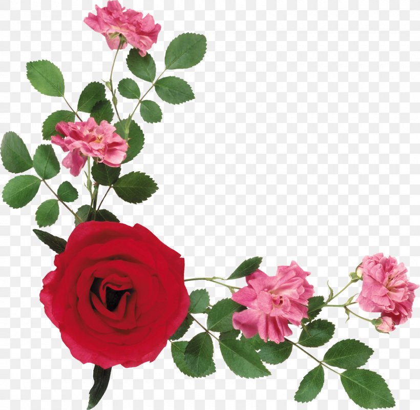 Clip Art Flower Image Garden Roses, PNG, 1600x1562px, Flower, Annual Plant, Cut Flowers, Floral Design, Floribunda Download Free