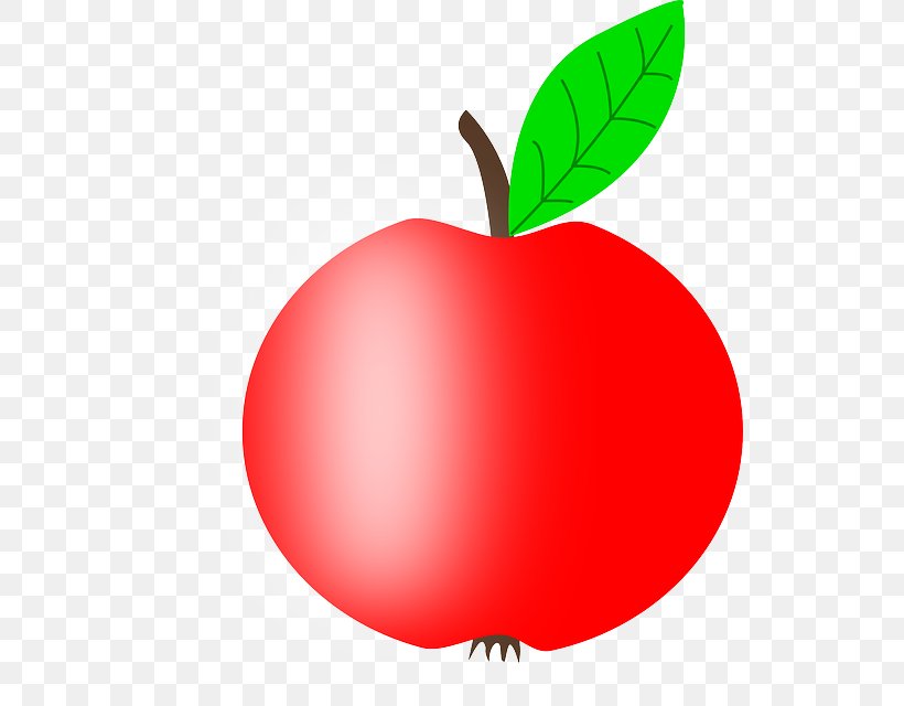 Leaf Apple Clip Art, PNG, 528x640px, Leaf, Apple, Color, Food, Fruit Download Free