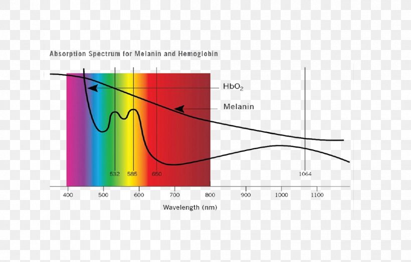 Light Absorption Melanin Hemoglobin Spectrum, PNG, 1250x800px, Light, Absorbance, Absorption, Absorption Spectroscopy, Biological Pigment Download Free