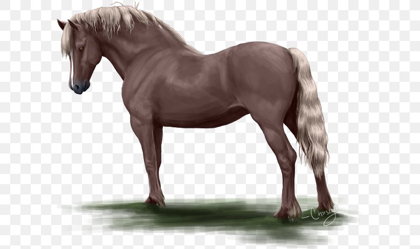 Mane Mustang Stallion Mare Rein, PNG, 600x487px, Mane, Bridle, Colt, Halter, Horse Download Free
