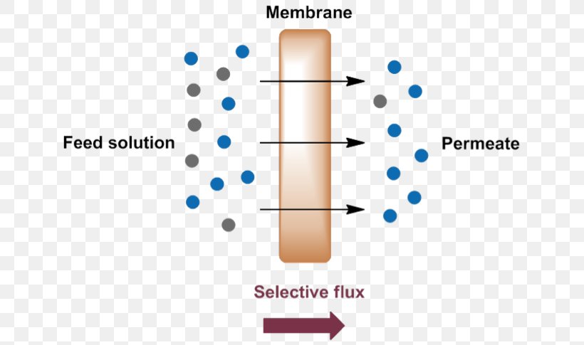 Membrane Technology Separation Process Nanofiltration, PNG, 650x485px, Membrane, Brand, Concentration, Cylinder, Definition Download Free