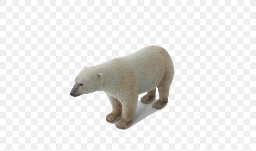 Baby Polar Bear Polar Regions Of Earth, PNG, 554x484px, Watercolor, Cartoon, Flower, Frame, Heart Download Free
