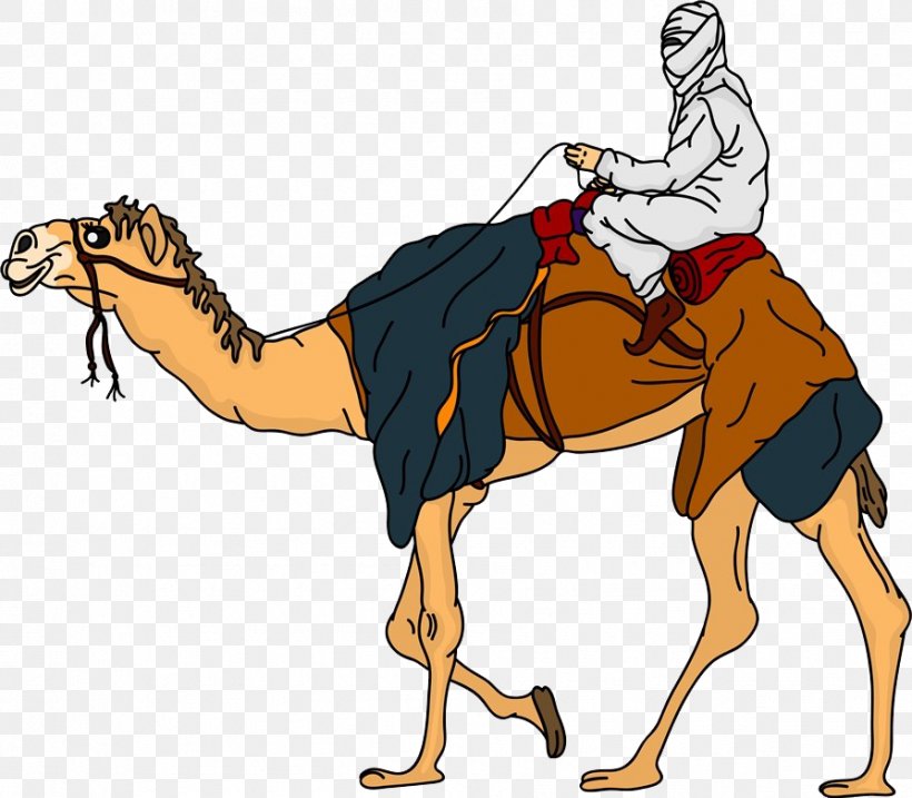 Bactrian Camel Dromedary Equestrianism Clip Art, PNG, 894x782px, Bactrian Camel, Arabian Camel, Bedouin, Camel, Camel Like Mammal Download Free