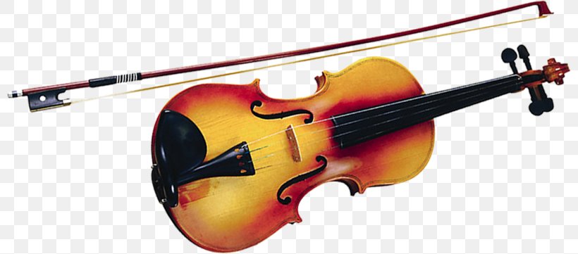 Bass Violin Violone Viola Cello, PNG, 800x361px, Bass Violin, Acoustic Electric Guitar, Bow, Bowed String Instrument, Cello Download Free