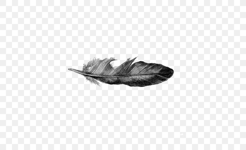 Drawing Feather Line Art, PNG, 500x500px, Drawing, Art, Black And White, Feather, Line Art Download Free