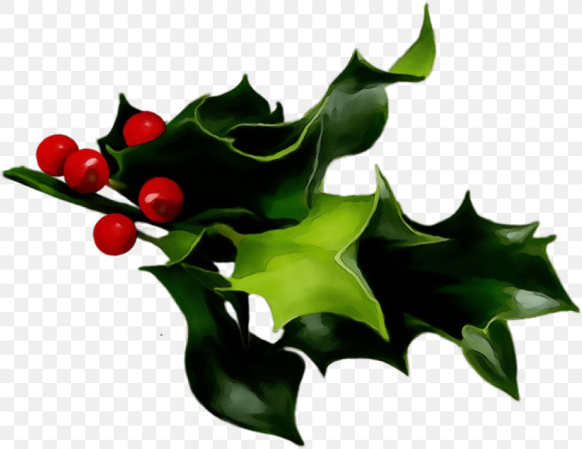 Holly, PNG, 820x633px, Watercolor, American Holly, Branch, Flower, Holly Download Free