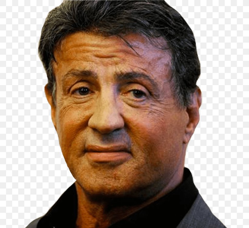 Sylvester Stallone Rocky Portrait Painting Actor, PNG, 750x750px, Sylvester Stallone, Actor, Cheek, Chin, Elder Download Free
