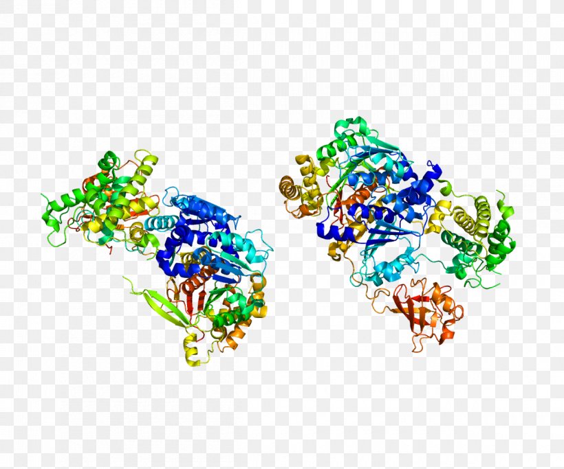 UBA2 SUMO Protein Small Ubiquitin-related Modifier 1 Enzyme, PNG, 1200x1000px, Watercolor, Cartoon, Flower, Frame, Heart Download Free