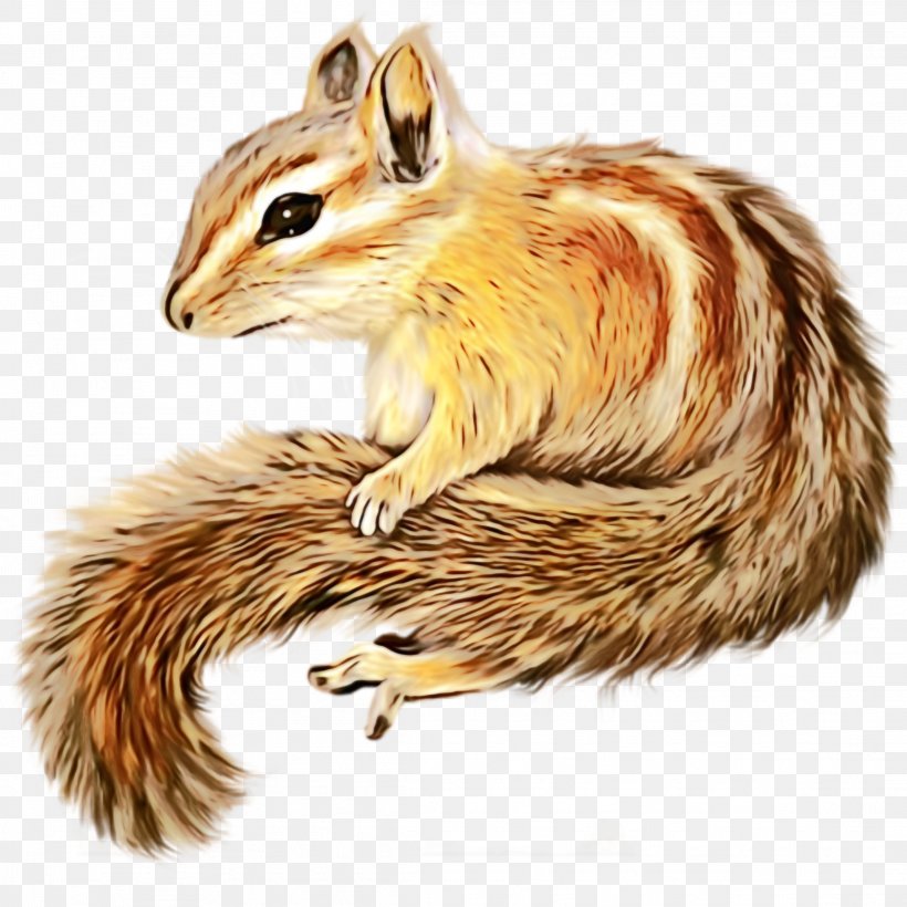 Watercolor Animal, PNG, 2289x2289px, Watercolor, Alvin And The Chipmunks, Animal, Chipmunk, Drawing Download Free