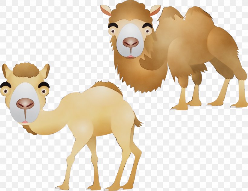 Animal Cartoon, PNG, 1600x1230px, Dromedary, Animal Figure, Arabian Camel, Bactrian Camel, Camel Download Free
