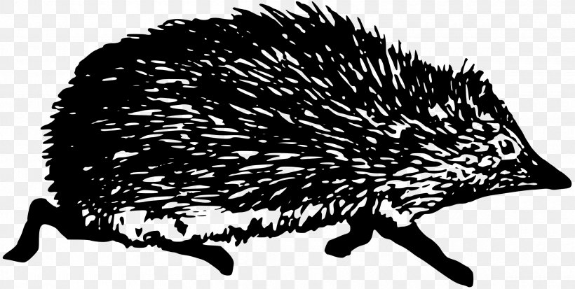 Hedgehog Black And White, PNG, 2400x1209px, Hedgehog, Black And White, Domesticated Hedgehog, Echidna, Erinaceidae Download Free