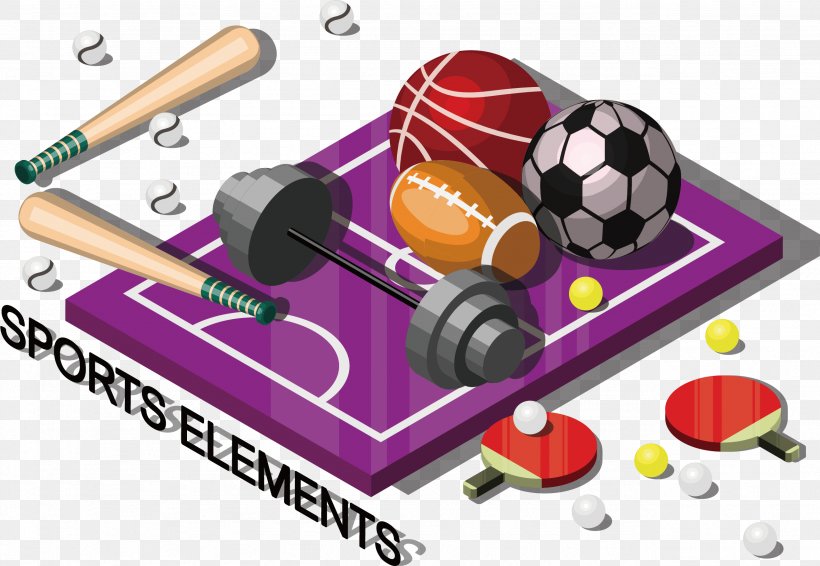 Sports Equipment Basketball Illustration, PNG, 2561x1769px, Sport, Athletics Field, Basketball, Basketball Court, Drawing Download Free