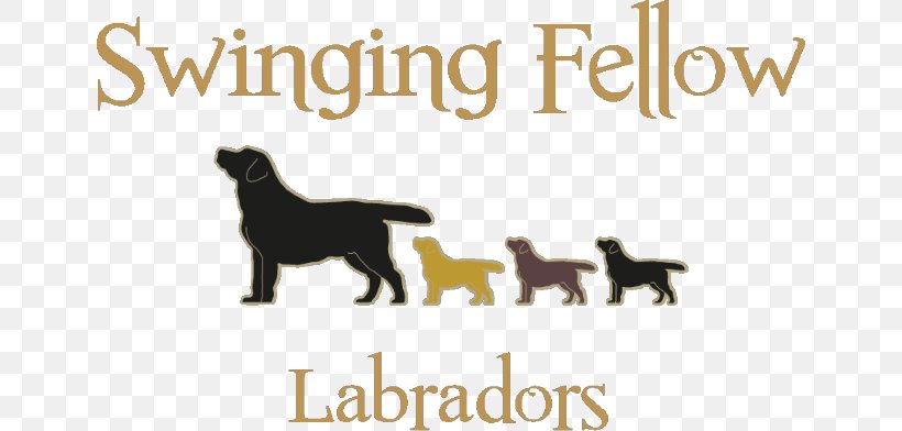 Dog Breed Puppy Labrador Retriever German Shepherd Newfoundland Dog, PNG, 644x392px, Dog Breed, Animal Husbandry, Brand, Breed, Breeder Download Free